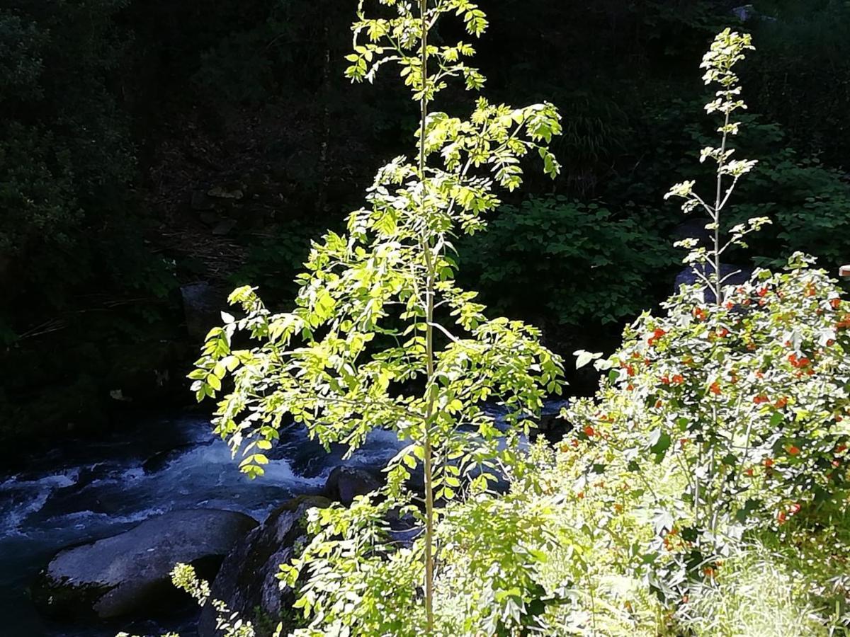 Campismo Rural Vale Dos Moinhos Geres Otel Dış mekan fotoğraf