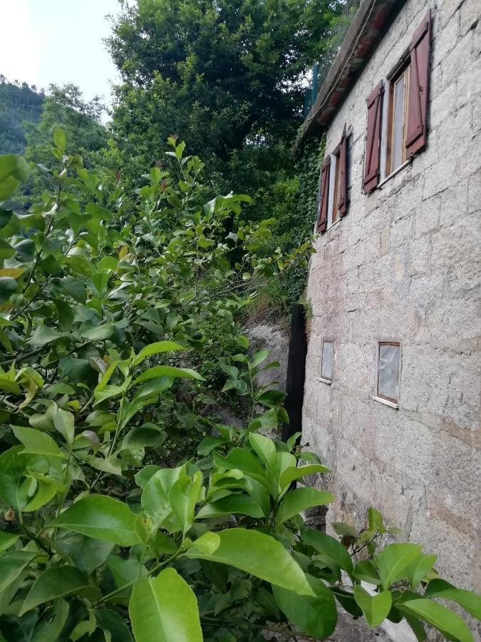 Campismo Rural Vale Dos Moinhos Geres Otel Dış mekan fotoğraf