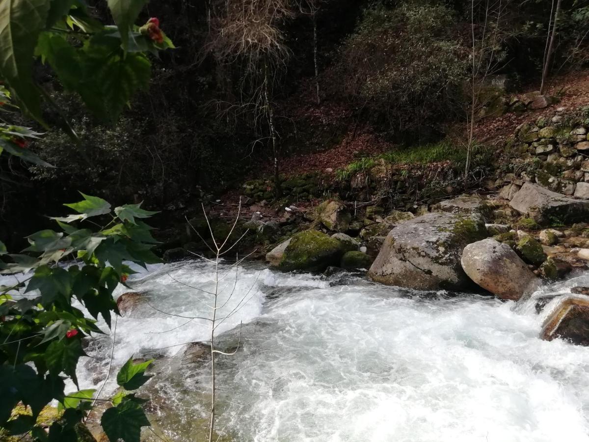 Campismo Rural Vale Dos Moinhos Geres Otel Dış mekan fotoğraf