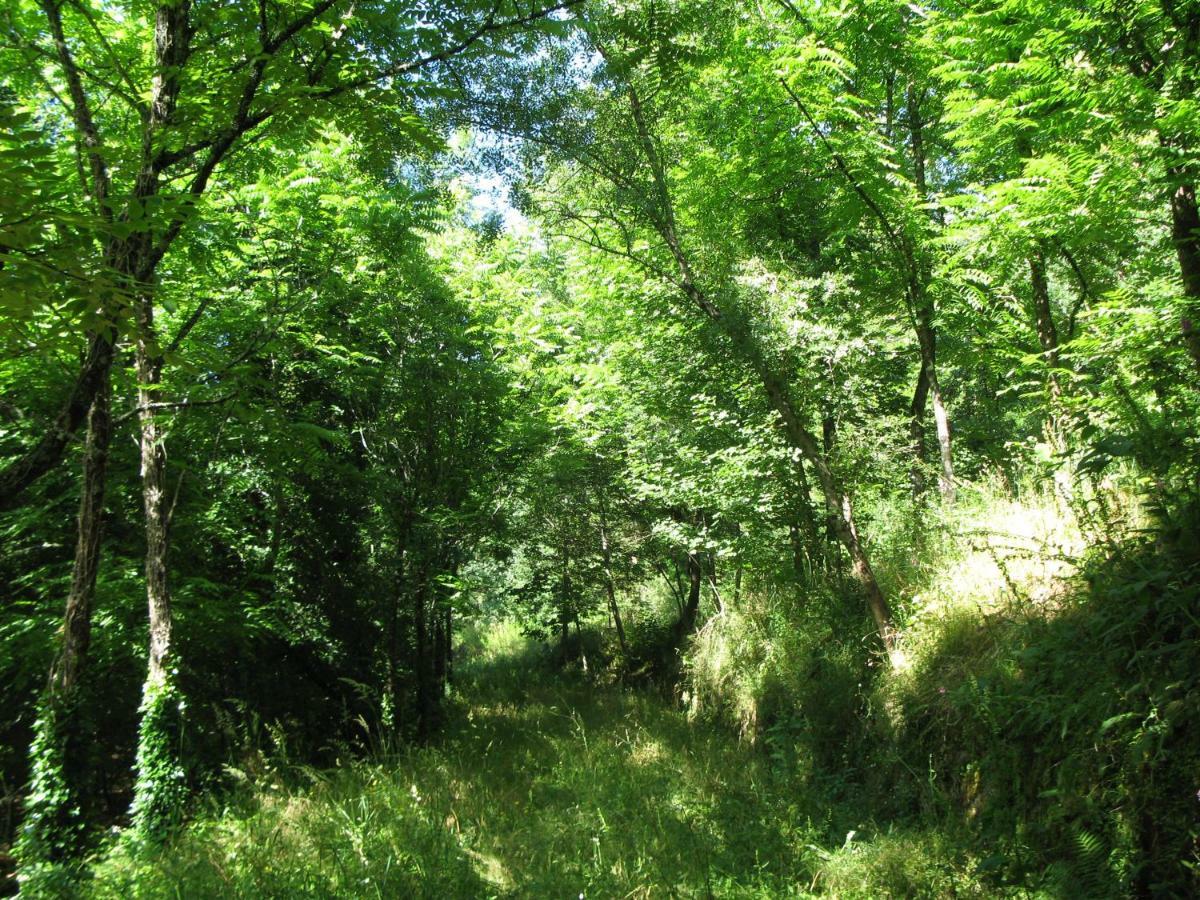 Campismo Rural Vale Dos Moinhos Geres Otel Dış mekan fotoğraf