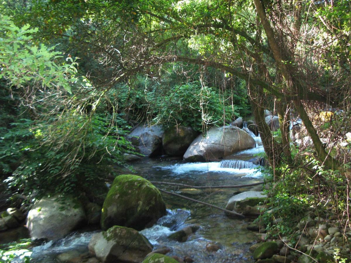 Campismo Rural Vale Dos Moinhos Geres Otel Dış mekan fotoğraf