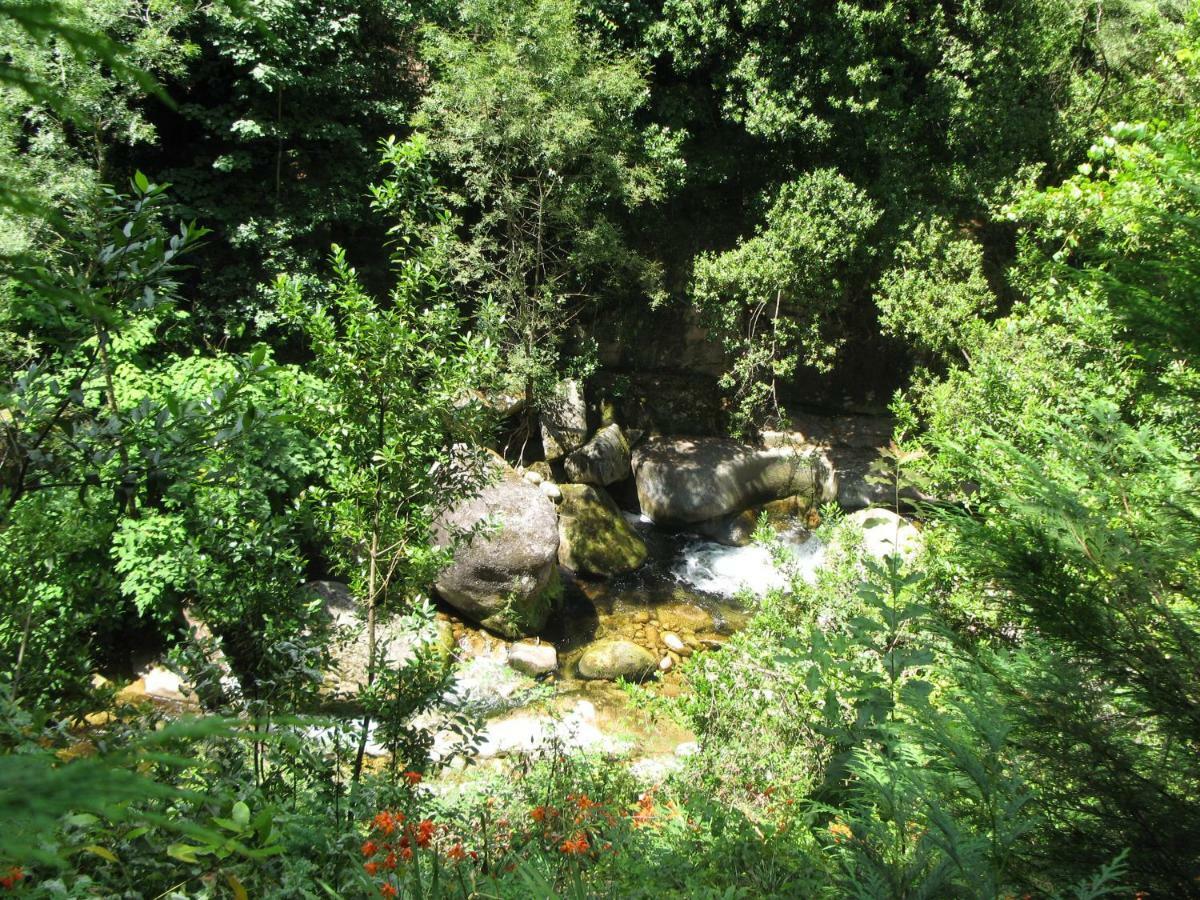 Campismo Rural Vale Dos Moinhos Geres Otel Dış mekan fotoğraf