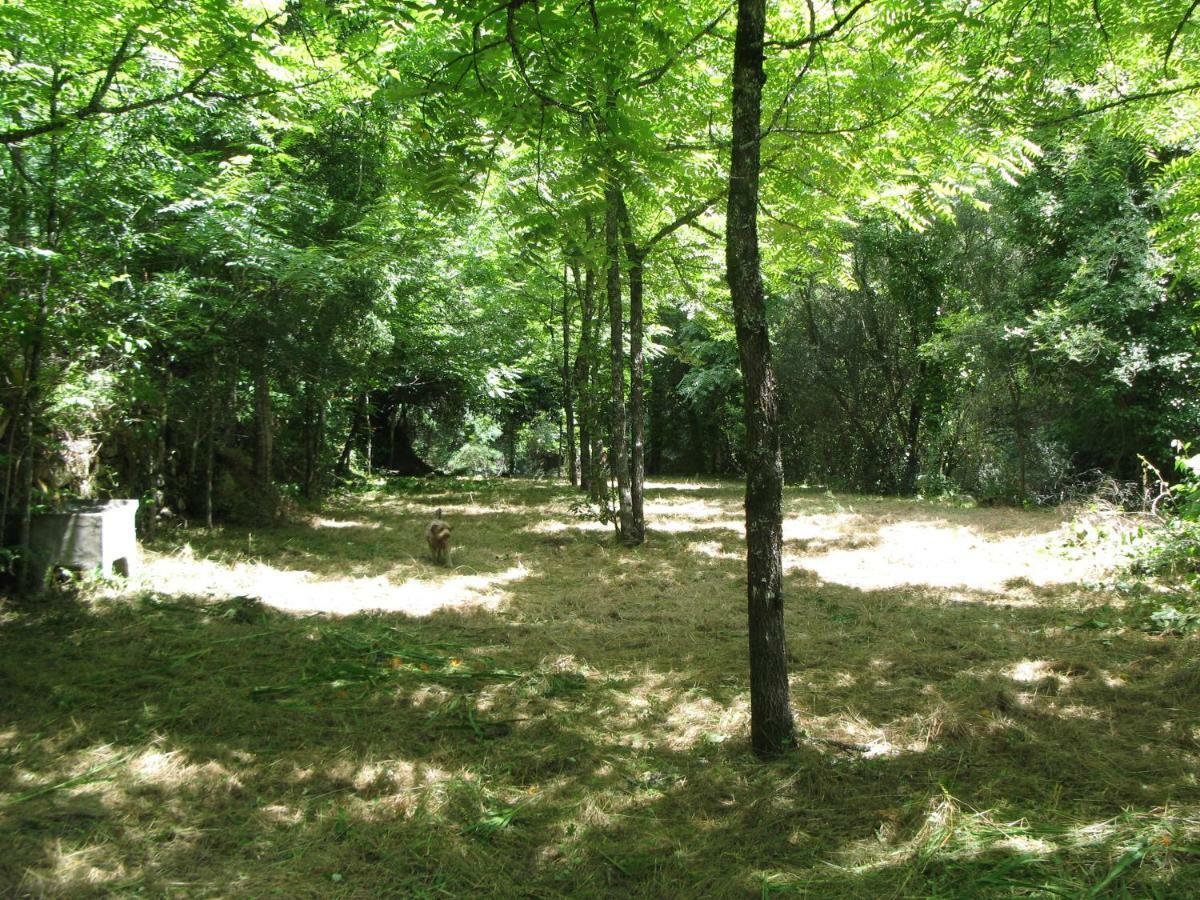 Campismo Rural Vale Dos Moinhos Geres Otel Dış mekan fotoğraf