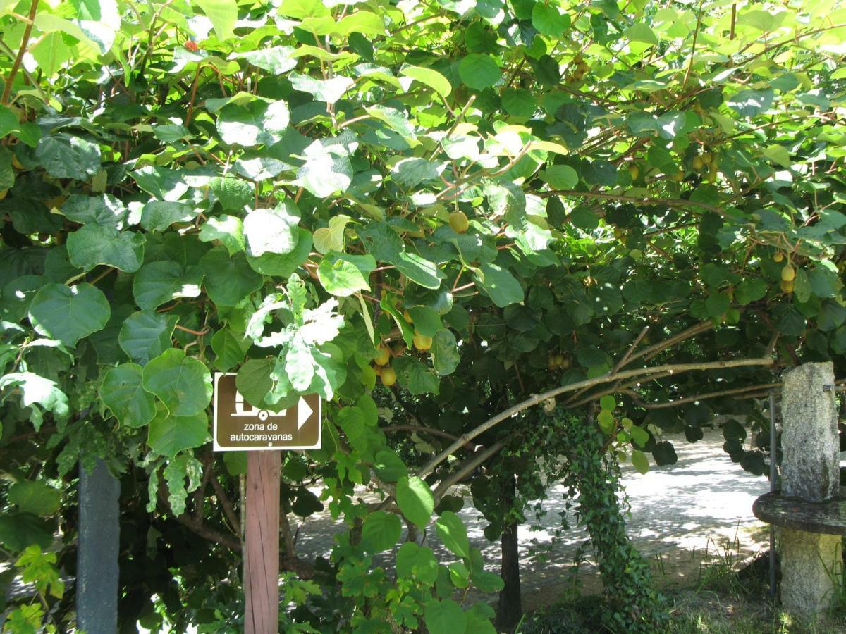 Campismo Rural Vale Dos Moinhos Geres Otel Dış mekan fotoğraf